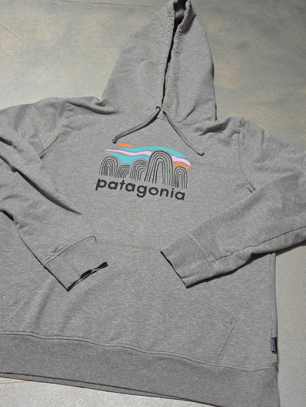 Patagonia Light Gray Hoodie with Pastel Wave Graphic